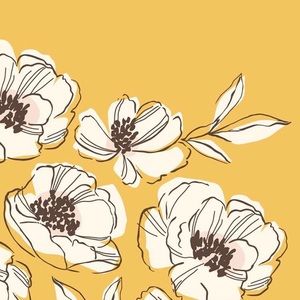 Meet your Posher, Elissa